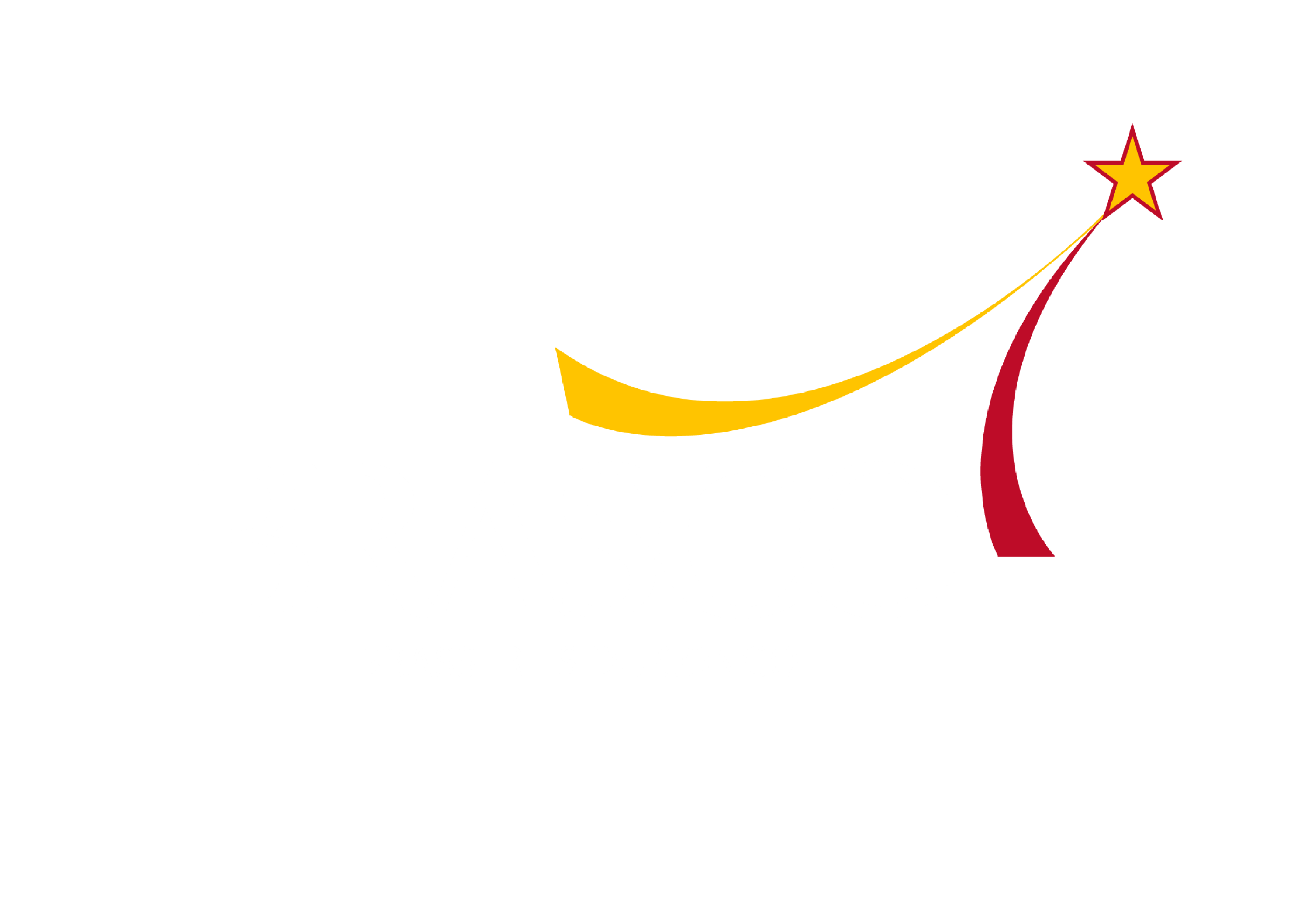 Brasco Induction logo